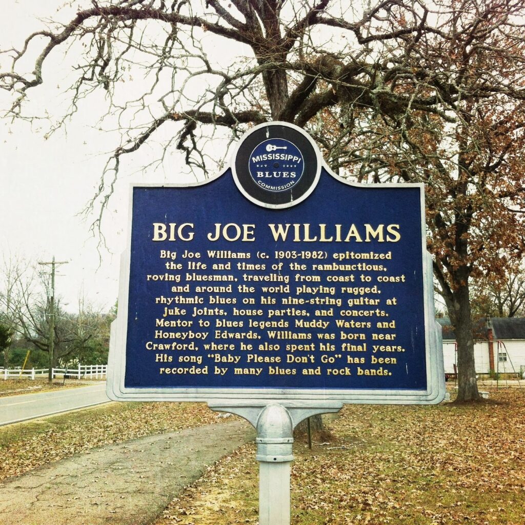 The blues trail of Big Joe Williams
