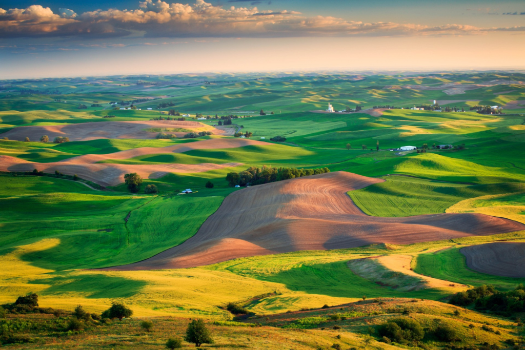 Things to do In Pullman: Palouse Scenic Byway