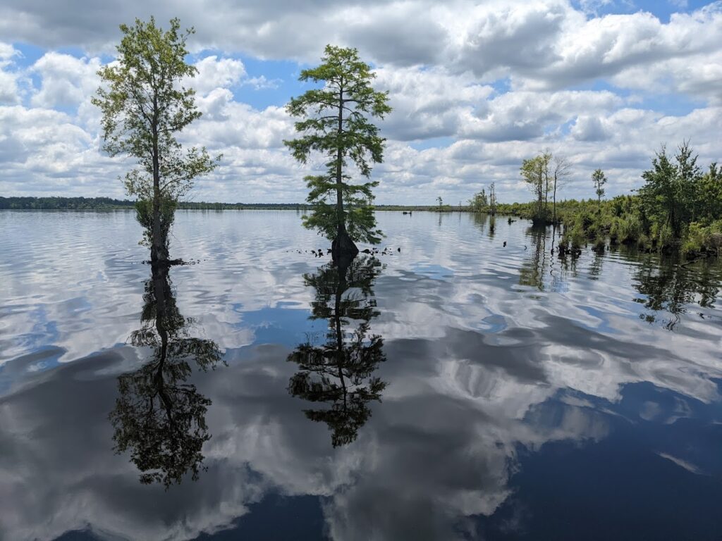 The Great Dismal Swamp National Wildlife Refuge