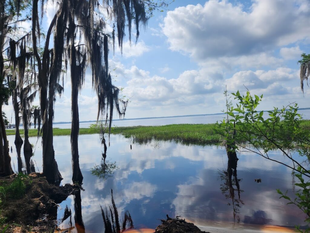 Crooked River Preserve, Clermont